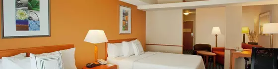 Fairfield Inn and Suites by Marriott Romulus | Michigan - Detroit (ve civarı) - Romulus