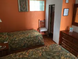 Hotel Bajo el Volcan | Morelos - Cuernavaca - Cuernavaca Merkezi