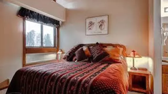 Ski Hill by Pinnacle Lodging | Kolorado - Summit İlçesi - Breckenridge