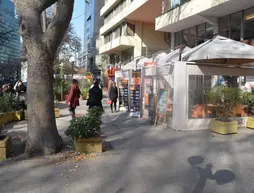 Nunes Propiedades Providencia | Santiago - Santiago (ve civarı) - Providencia