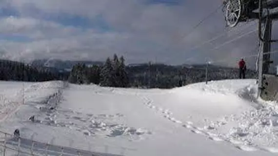 Auberge d'altitude de Grouvelin | Grand Est - Vosges (bölge) - Gerardmer