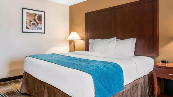 Clarion Inn near JBLM | Washington - Tacoma (ve civarı) - Tacoma