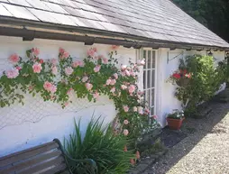 Detling Coachhouse Bed & Breakfast | Kent (kontluk) - Maidstone District - Maidstone