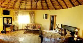 Tiveka Game Lodge | Limpopo - Polokwane