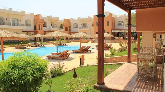 Sheikh Ali Resort | Güney Sina (il) - St. Catherine