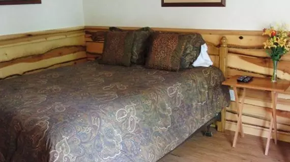 Don Quijote Lodge | Georgia - Blue Ridge (ve civarı) - Morganton