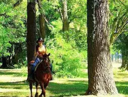 Estancia Monte Viejo | Buenos Aires (ili) - Brandsen