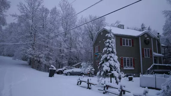 La Chaumiere de l' Anse | Quebec - Les Laurentides Regional County Belediyesi - Tremblant Dağı (ve civarı) - Mont-Tremblant