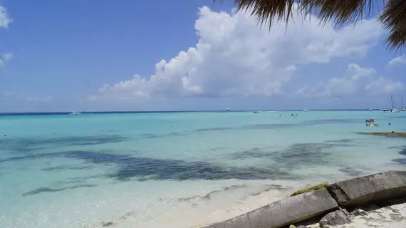 Chichis and Charlies | Quintana Roo - Benito Juárez - Cancun (ve civarı) - Isla Mujeres