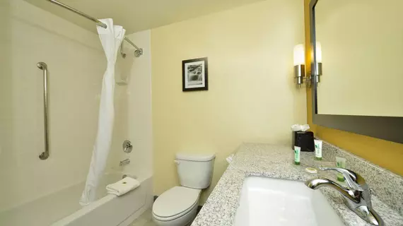 Best Western Plus Denver Tech Center Hotel | Kolorado - Denver (ve civarı) - Greenwood Village