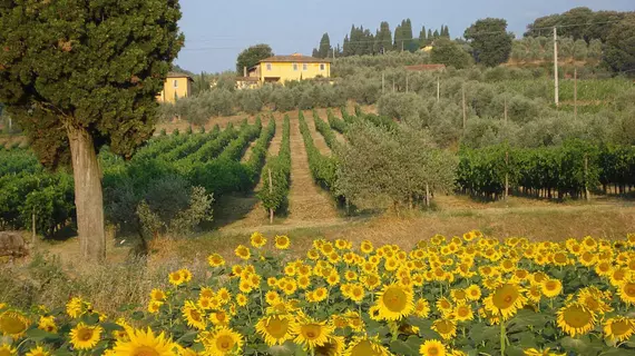 Petrolo | Toskana - Arezzo (vilayet) - Bucine