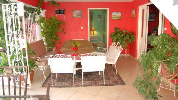 PinkHibiscus Guest House | Saint James - Montego Körfezi (ve civarı) - Montego Bay