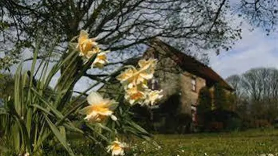 High Farm bed & breakfast | Kuzey Yorkshire (kontluk) - Pickering