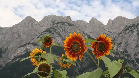 Gasthof Pass Lueg Höhe | Salzburg (eyalet) - Hallein - Golling an der Salzach