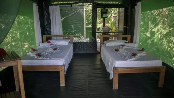 La Leona Eco Lodge | Puntarenas (ili) - Puerto Jimenez