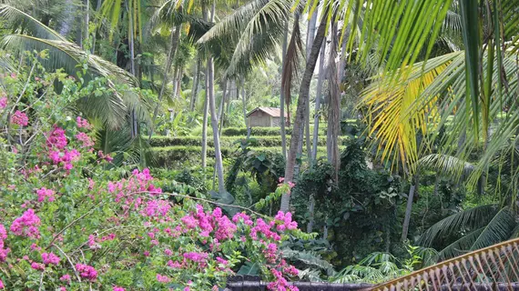 Gusti's Garden Bungalows | Bali - Ubud - Ubud Kent Merkezi