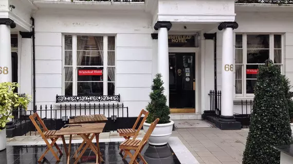 Whiteleaf Hotel | Londra (ve civarı) - City of Westminster - Bayswater