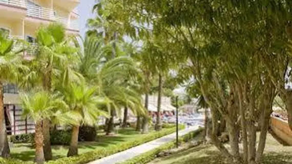 Palma Nova Hotel | Balearic Adaları - Mayorka Adası - Calvia - Palmanova