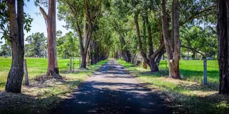 Dunsborough Rail Carriages & Farm Cottages