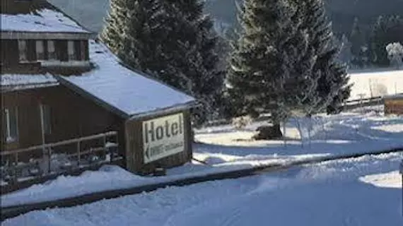 Gasthaus und Hotel Sonnenmatte | Baden-Wuerttemberg - Titisee-Neustadt