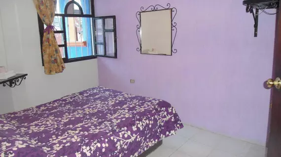 Hotel San Andres | Veracruz - Xalapa (ve civarı) - Xalapa