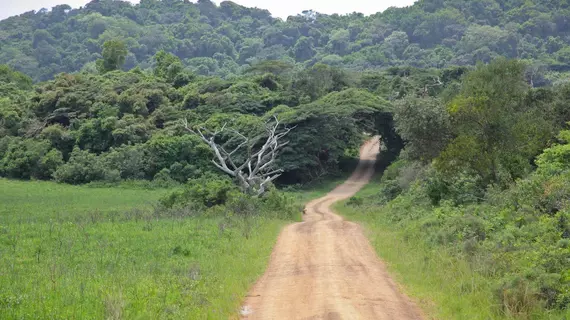 Elephant Lake Inn | KwaZulu-Natal (il) - St. Lucia