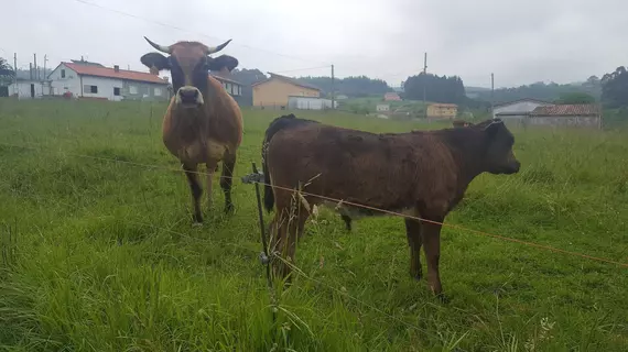 Hotel Rural Foncubierta | Asturias - Soto Del Barco