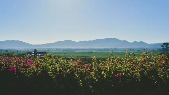 Hacienda Guadalupe | Kuzey Baja California - Ensenada - Ensenada (ve civarı) - Valle de Guadalupe