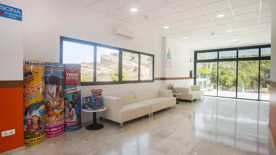 Apartamentos turísticos Don Jorge | Valencia Bölgesi - Alicante (vilayet) - Marina Baja - Benidorm