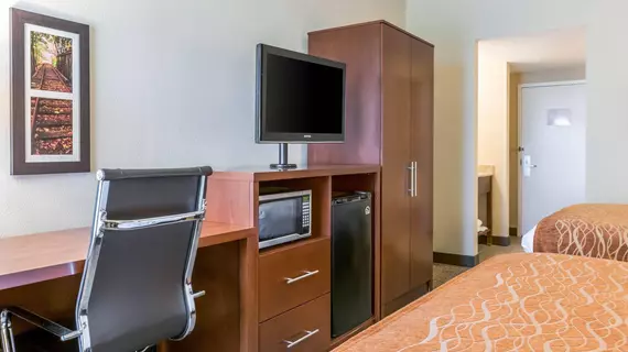 Comfort Inn | Pensilvanya - Gettysburg (ve civarı) - Chambersburg - İskoçya