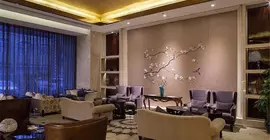 Chengdu Phoenix International Hotel | Sişuan - Chengdu - Shuangliu District