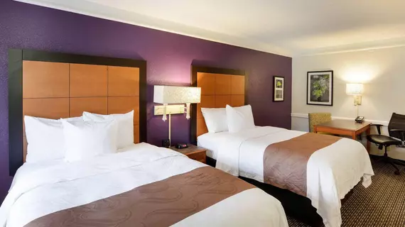 Quality Inn and Suites | Güney Karolayna - Charleston (ve civarı) - North Charleston