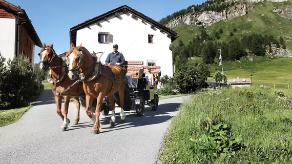 Pensiun Chesa Pool | Maloja District - Graubuenden - Sils im Engadin-Segl