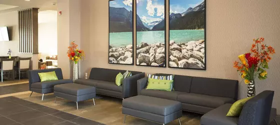 Wingate by Wyndham Calgary Airport | Alberta - Calgary (ve civarı) - Calgary