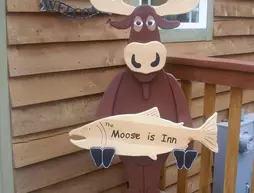 The Moose is Inn | Alaska - Clam Gulch