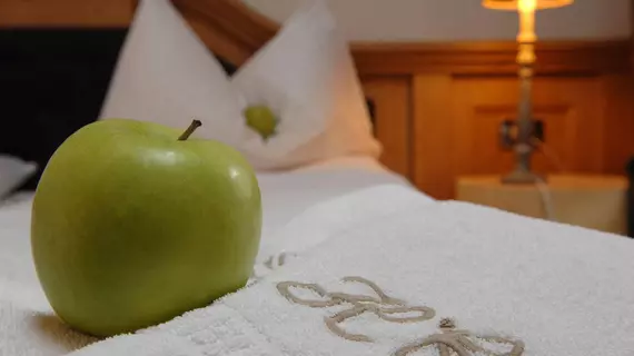 Romantic Hotel Excelsior | Trentino-Alto Adige - Trento İli - Cavalese