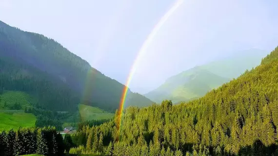 Haus Wötzinger | Tirol - Reutte (ve civarı) - Berwang