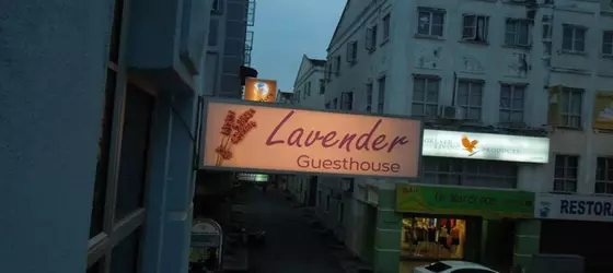 Lavender Guesthouse | Malacca - Malacca