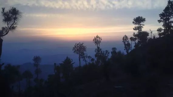 Woodsvilla Resort | Uttarkand - Almora (ve civarı) - Ranikhet