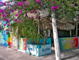 Mayan Hostel | Quintana Roo - Benito Juárez - Cancun (ve civarı) - Cancun - Cancun Merkezi