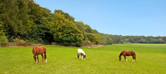 Klippenhotel garni | Hessen - Usingen