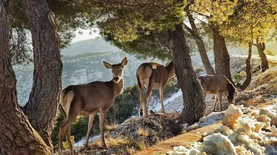 Cavallari Palace | Attica - Atina (ve civarı) - Acharnes