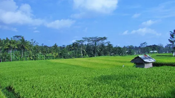 Temuku Villas Ubud | Bali - Ubud - Kedewatan