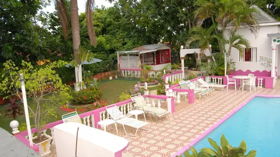 PinkHibiscus Guest House | Saint James - Montego Körfezi (ve civarı) - Montego Bay