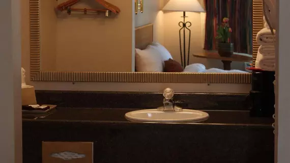 The Regency Inn Eureka Springs | Arkansas - Bentonville - Fayetteville (ve civarı) - Eureka Springs