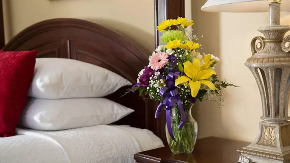 The Iris Inn Bed and Breakfast | Virginia - Staunton (ve civarı) - Waynesboro