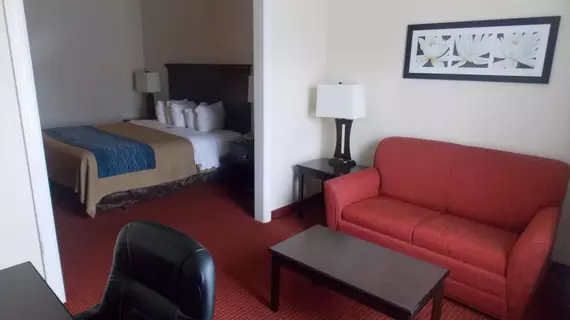 Baymont Inn and Suites Decatur | Alabama - Huntsville (ve civarı) - Decatur