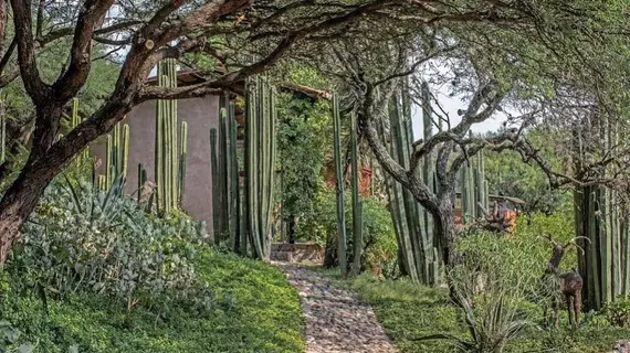 Sagrada Boutique Hotel | Guanajuato - San Miguel de Allende