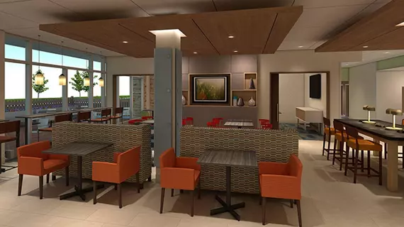 Holiday Inn Express and 38 Suites Houston Sw Sharpstown | Teksas - Houston (ve civarı) - Houston