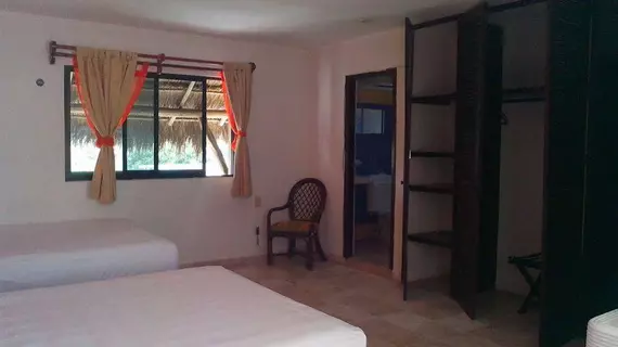 Caracol Suite Hotel | Quintana Roo - Solidaridad - Playa del Carmen